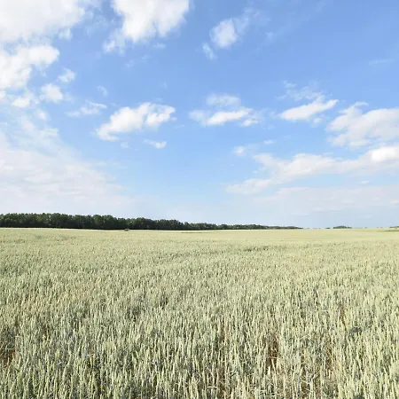 Prázdninový dům Mit Kamin In