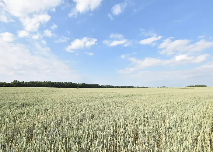 בית נופש Mit Kamin In