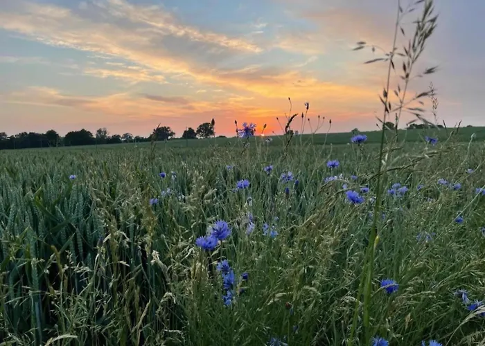 בית נופש Mit Kamin In שטרנברג