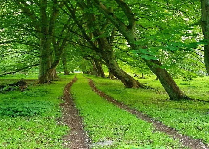 Mit Kamin In * שטרנברג